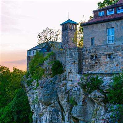 BOB·体育综合APP